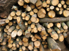 thumbs/woodpile_small.png